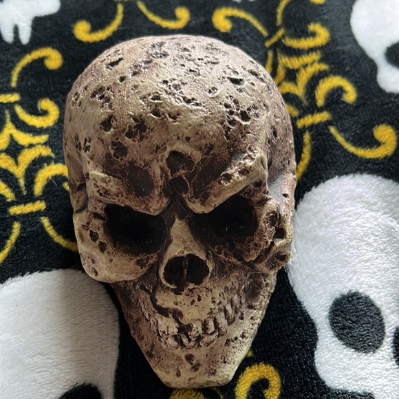 ๐ FISH ๐ฆ LIZARD AQUARIUM/TANK ๐ WAITED SKULL โ ๏ธ - Picture 5 of 7